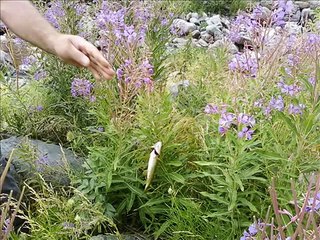 YILDIZ TİLBE BİR ZAMAN AYLARI SAYDIM karatas koyu 1.wmv