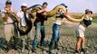 Giant Snake - Anaconda Eats Man Alive.