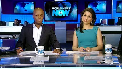 Woman in Scooby-Doo 'Mystery Machine' Van Leads Police on Chase