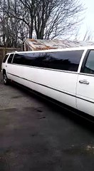 Limo Party Bus