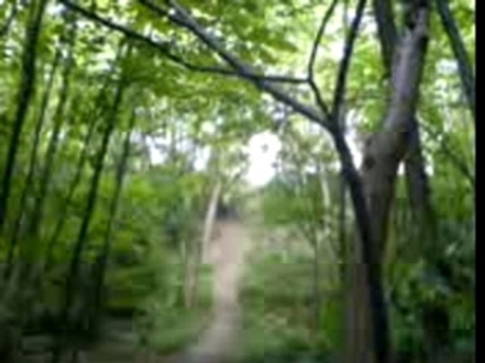 MOV00003