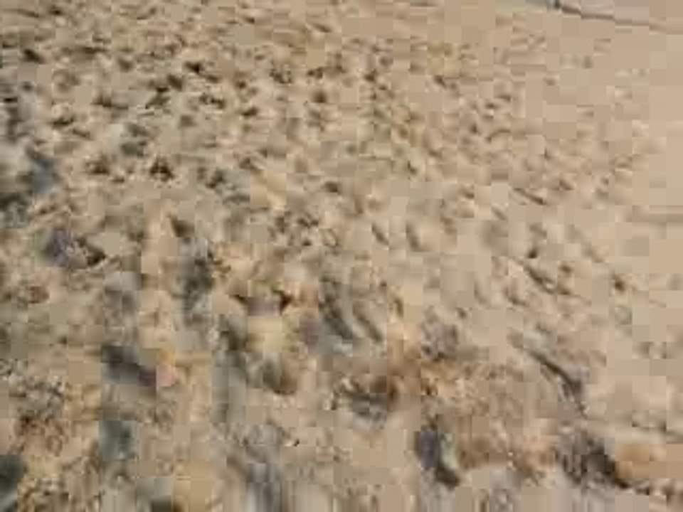 Chute de cheval avec bounty