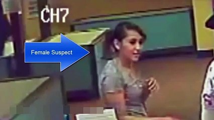 Woman 'hiding dog in handbag as she steals pup from pet shop'
