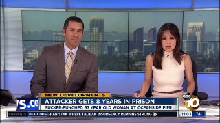 Attacker gets 8 years in prison