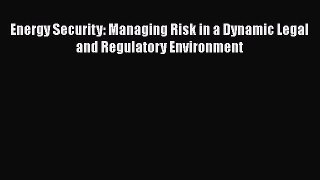 Read Energy Security: Managing Risk in a Dynamic Legal and Regulatory Environment Ebook Free