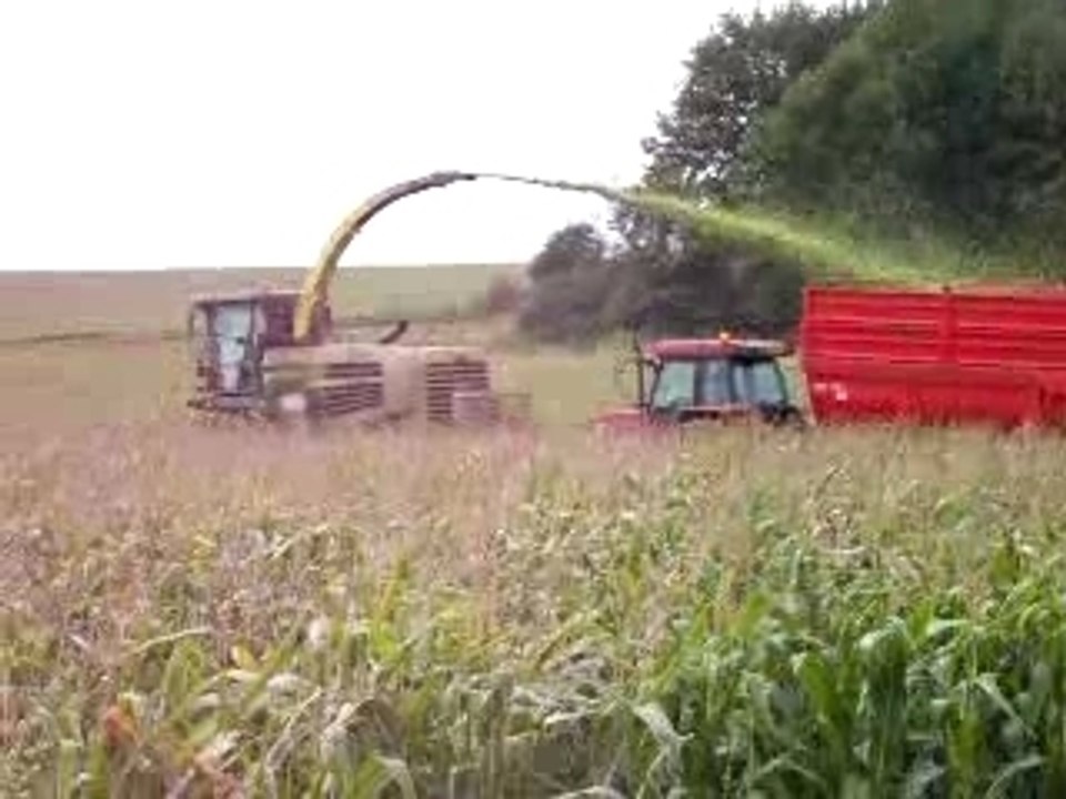 ensilage 2006