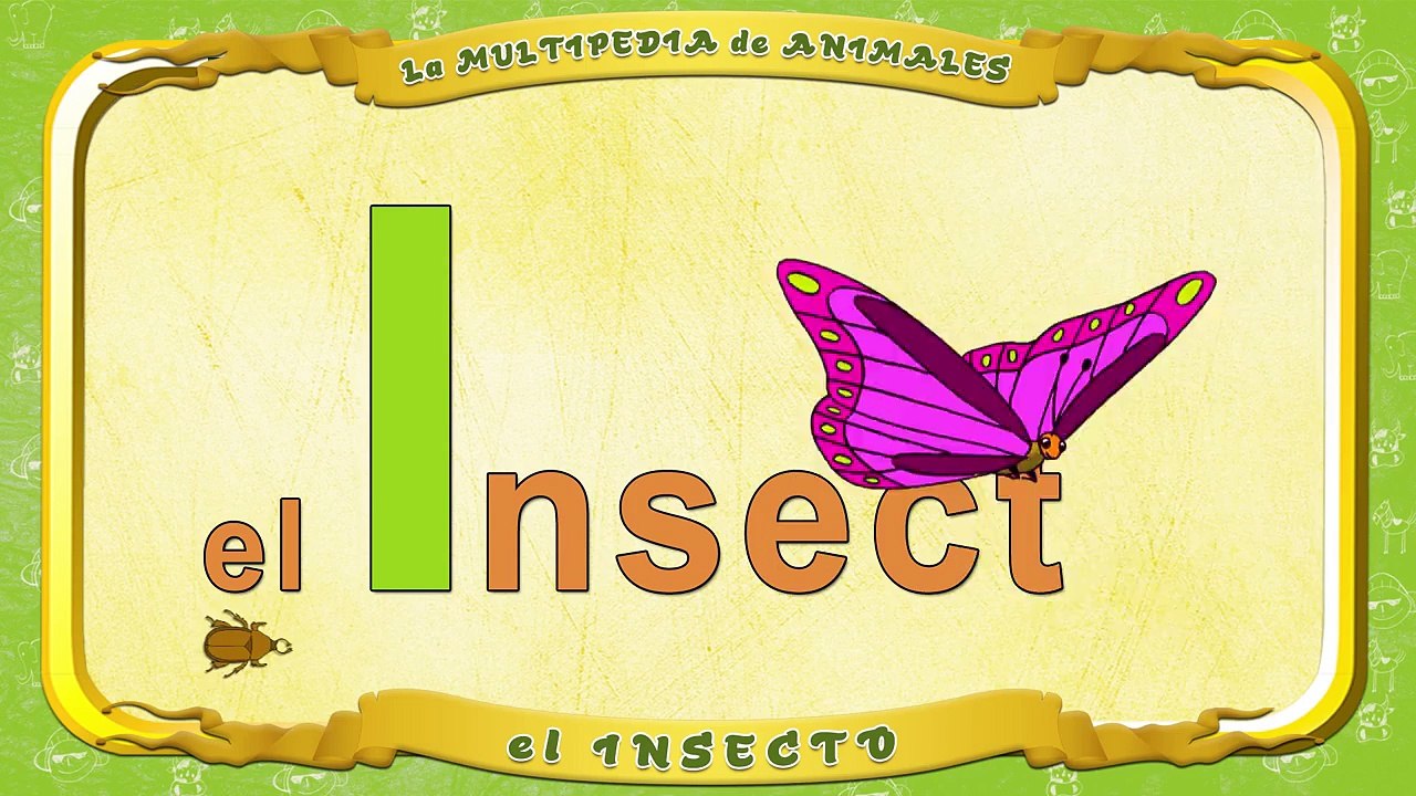 la Multipedia de animales. Letra I el Insecto