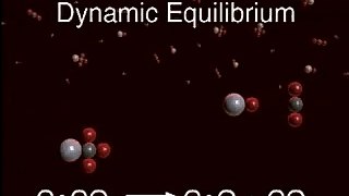 Reverse reaction and dynamic equilibrium