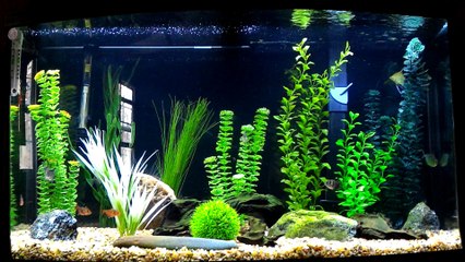 "So Fresh and So Clean"