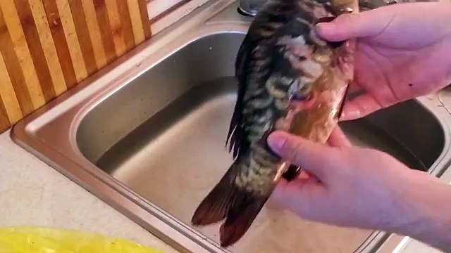 Как чистить рыбу правильно