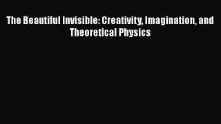 Download The Beautiful Invisible: Creativity Imagination and Theoretical Physics Ebook Online