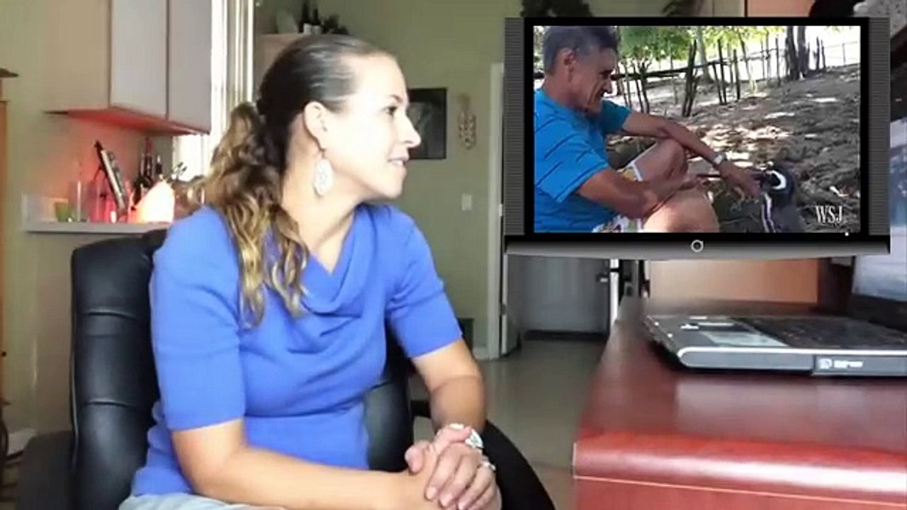 Un pinguino nuota ogni anno per 8000 km per salutare l'uomo che l'ha salvato