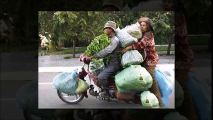 Funny Photos Taken At The Right Moment