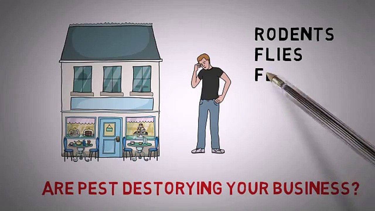 Wichita Falls Pest Control - Texoma Pest Management (1)