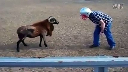 haha so funny realy wanted to watch