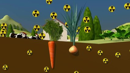 Après Fukushima, 10.000 cancers de plus attendus au Japon, selon des ONG