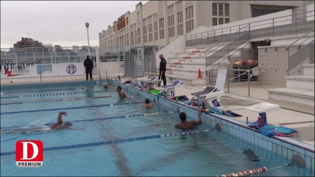 Dauphins du TOEC : dernière ligne droite avant les JO