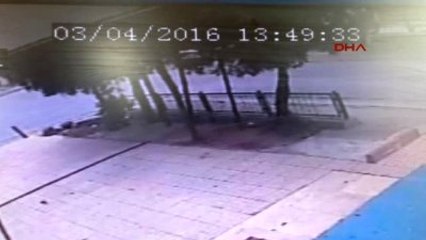 Pişkin Kapkaççılar Çantadan Çıkan Bisküviyi Bile Yemiş