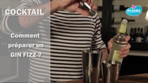Comment préparer un cocktail Gin Fizz