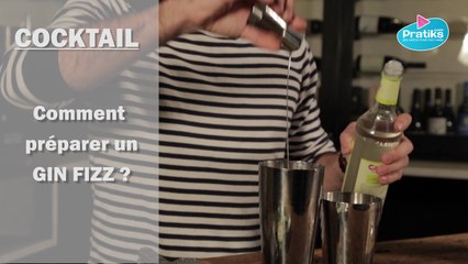 Comment préparer un cocktail Gin Fizz