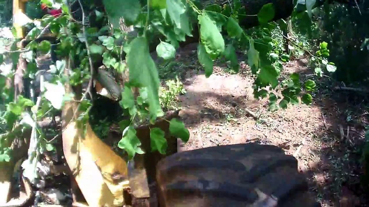 storytime, leaky loads!!