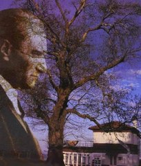 BAHÇEDE YEŞİL ÇINAR -ATATÜRK- KUDRET KAÇAR