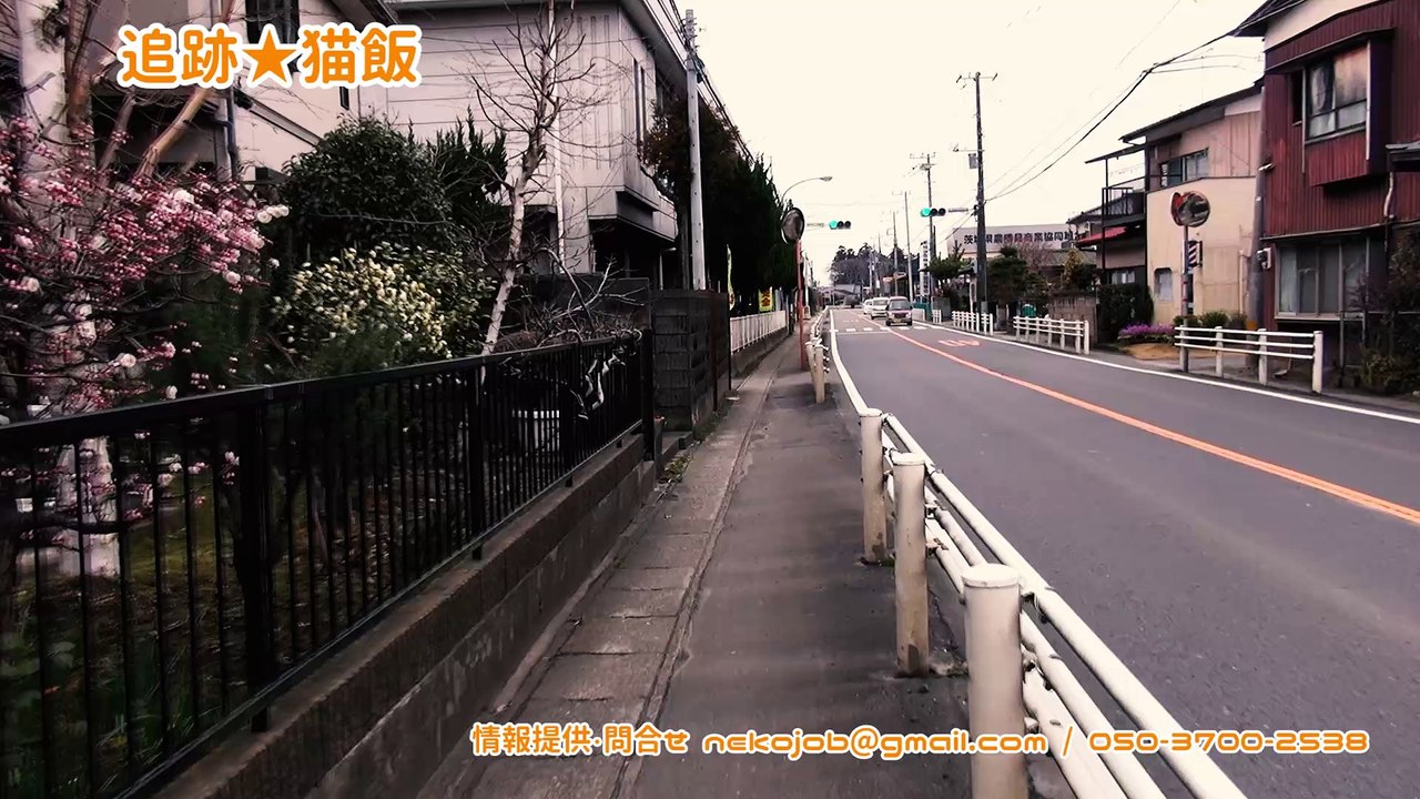 6代目山口組VS神戸山口組抗争