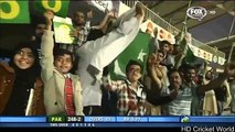 Tribute To Mohammad Hafeez (HD)