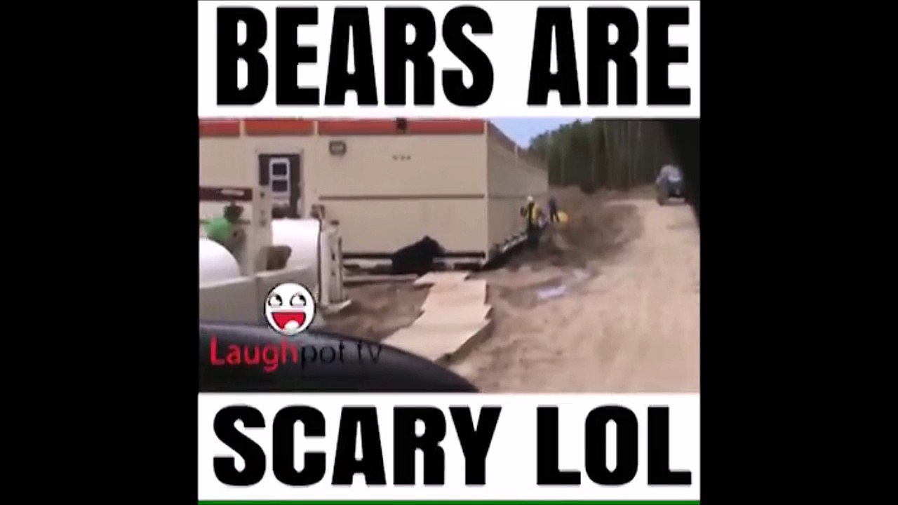 Bear prank with jimmy Funny video