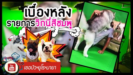 เชอบัว ยูโร มายา ตอนที่ 31 เบื้องหลังรายการวิกนี้สีชมพู