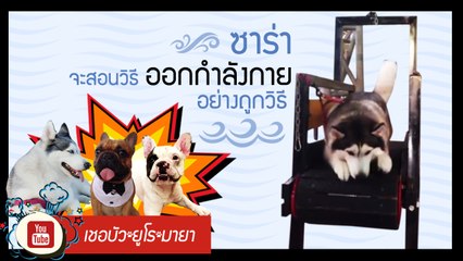 เชอบัว ยูโร มายา ตอนที่ 38 วันนี้ซาร่าจะมาสอนวิธีออกกำลังกายอย่างถูกวิธี