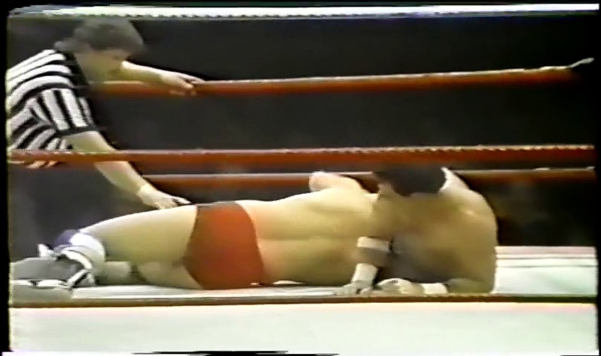 High Flyers vs Brian Jewel and Rick Steiner