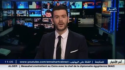 الوادي   /توقيف 4 تجار مخدرات و حجز أزيد من 400 كغ من الكيف المعالج