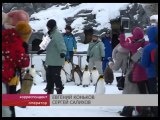 ロシア・サハリンTVで紹介された旭山動物園 (Mar.10  2016)