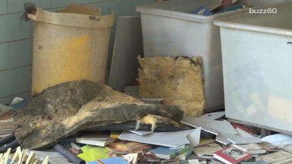 Home renovations that give you the most bang for your buck