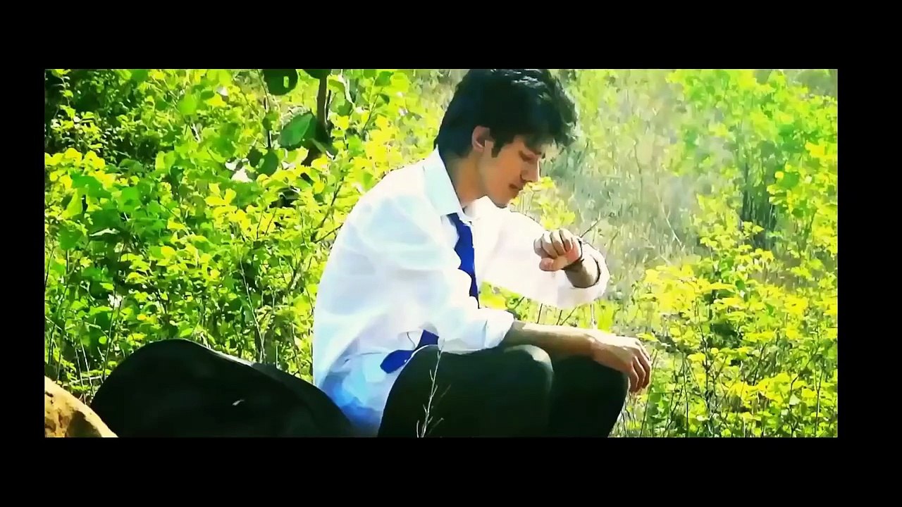 fan trailer srk ,fan club hindi urdu