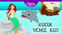 Çizgi film 2 Masal Rapunzel ve Küçük Deniz Kızı Prenses Ariel Adisebaba TV Çizgi Film Masa