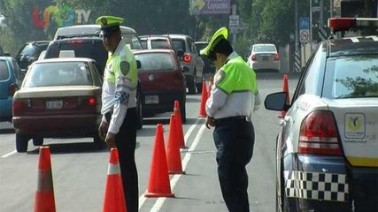 Luis Rubio |  No hay confianza de la sociedad con el reglamento de tránsito