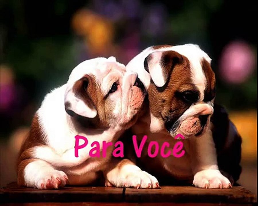 telemensagem audio visual Feliz Aniversário para amigos