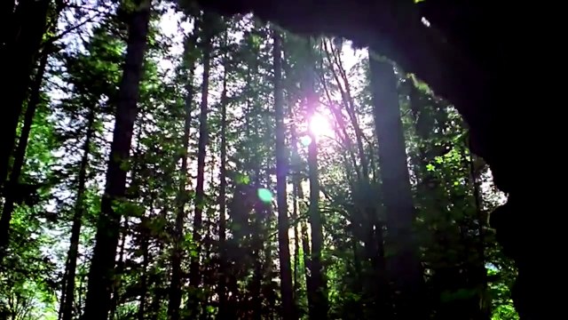 Motivacional O Melhor Vídeo de motivação Palestra Motivacional)