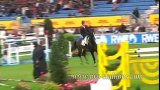 Show Jumping - I'd Do Anything (for horsiegals contest)14th!