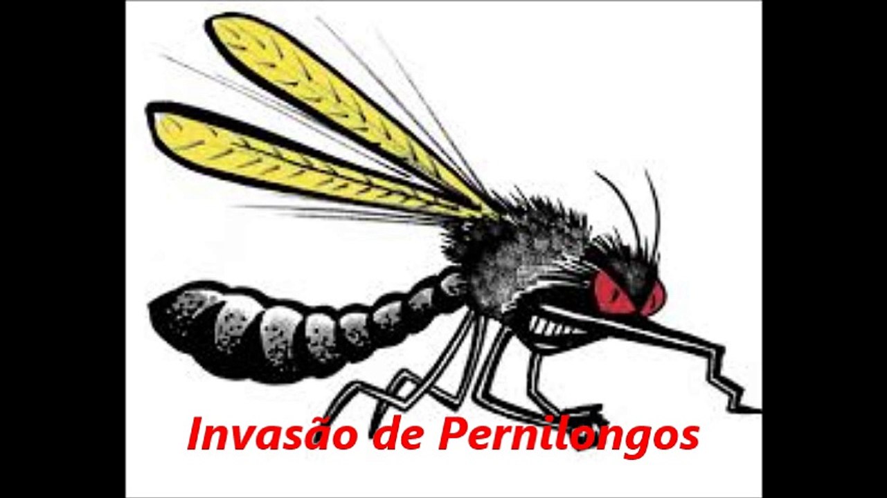 Ataque de pernilongos da dengue