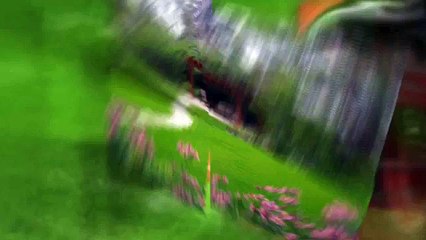 Best Hardscape Design to Enhance Your Garden Looks