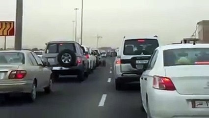 Tiger walking on the public roads OMG!