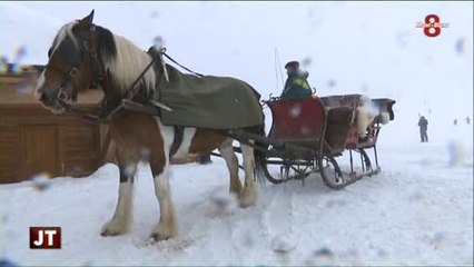 Station Avoriaz : le travail de cocher (Haute-Savoie)