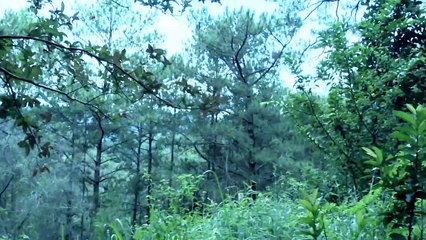 NÓNG & LẠ Bí ẩn ngôi nhà ma ở Đà Lạt