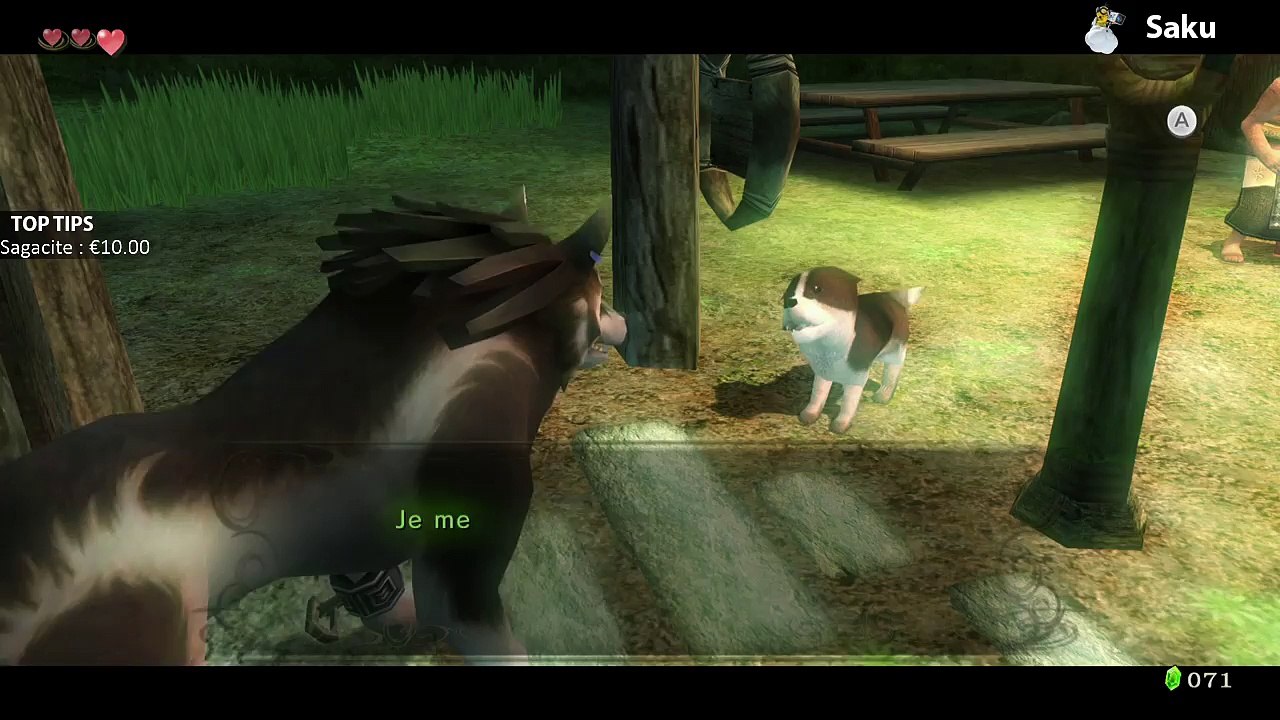 Zelda Twilight Princess HD #4