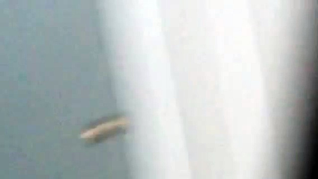 Bataille Pushes Background Checks for Other Landlords