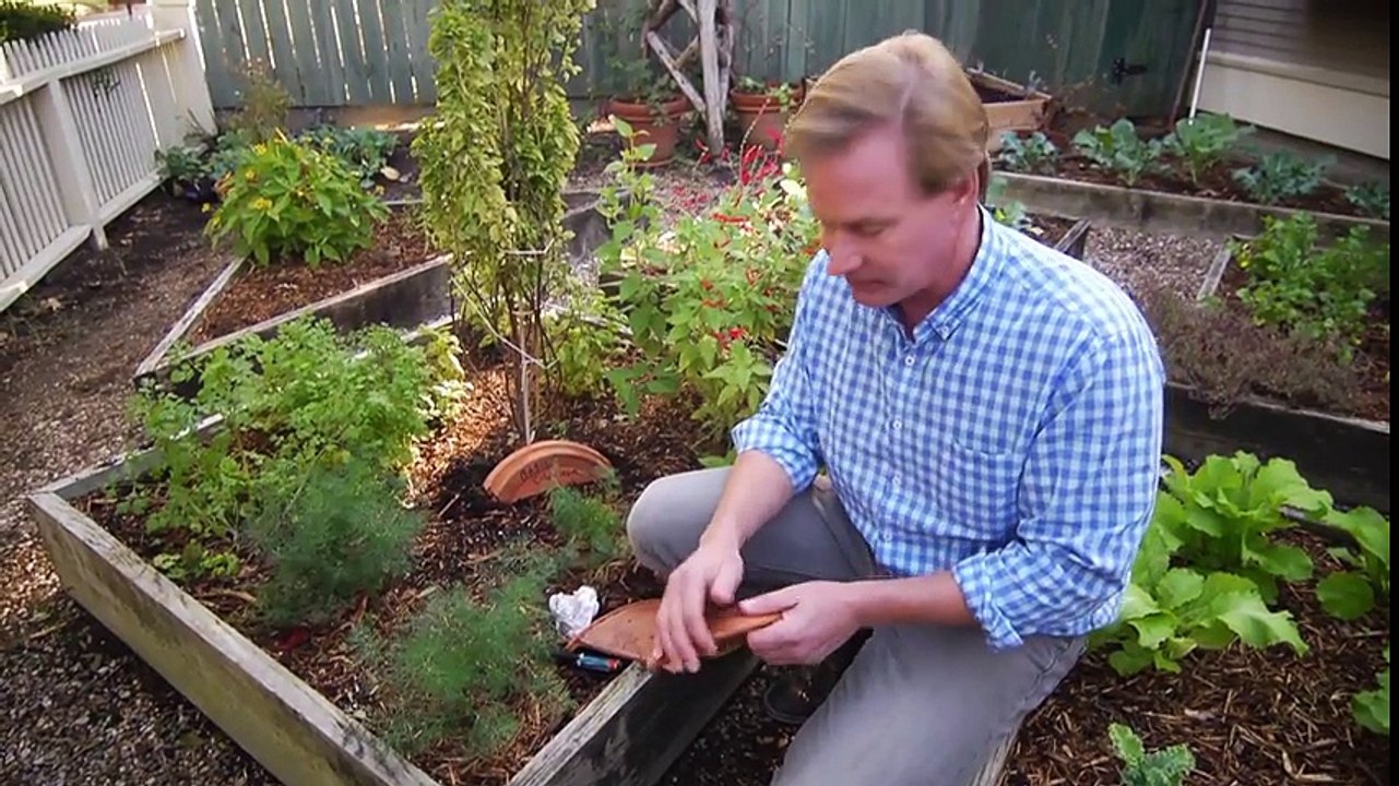 Garden Style ~ Problem Meet Solution