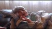 Berat, i hiqet KEMP-i, e moshuara e paralizuar: Jetoj me 4 mijë lekë në muaj- Ora News